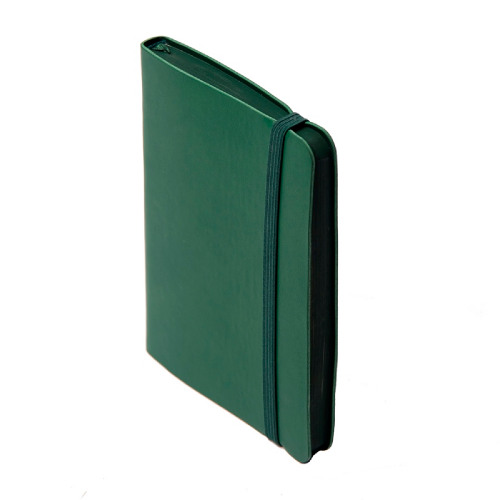 Блокнот SHADY JUNIOR с элементами планирования,  А6, зеленый, кремовый блок, темно-зеленый обрез (зеленый)