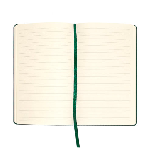 Бизнес-блокнот FUNKY, формат A5, в линейку (зеленый, серый)